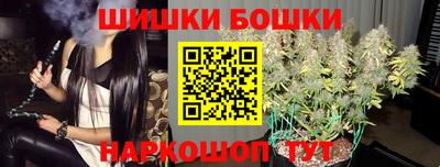 a pvp Новодвинск