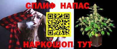 прущий лед Новозыбков