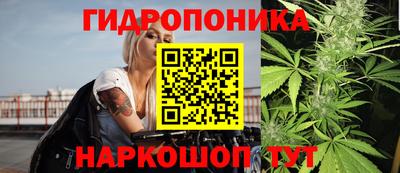 винт Обь