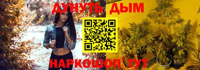 a pvp Новодвинск