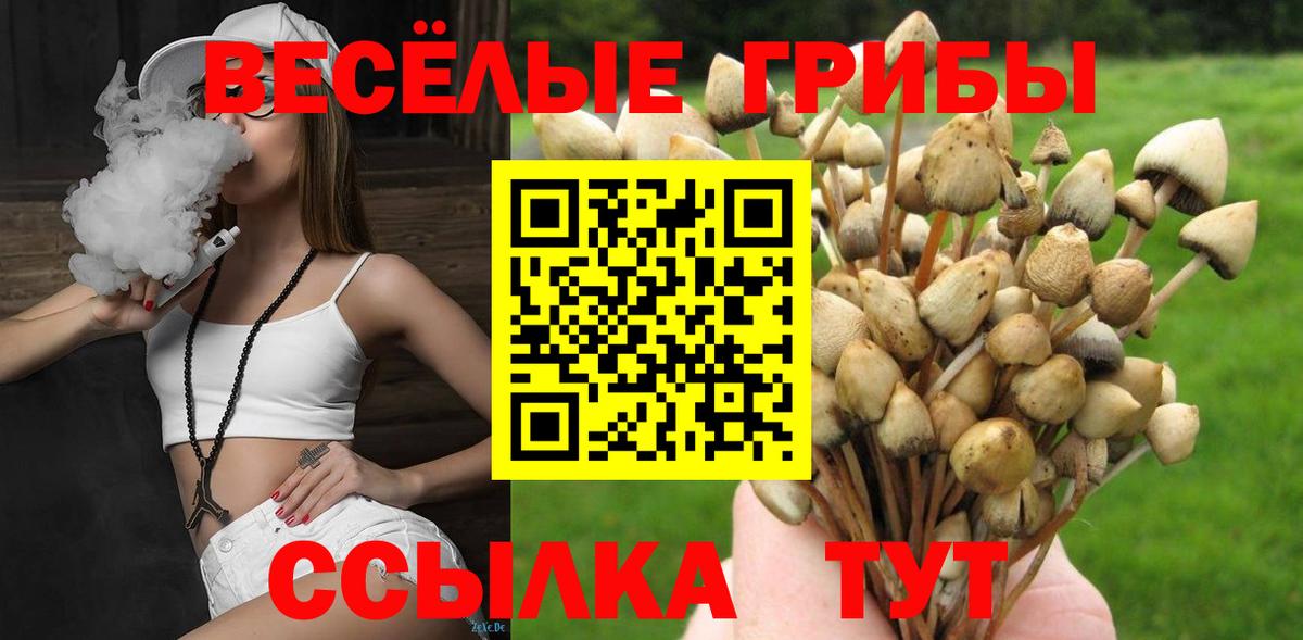 Галлюциногенные грибы мицелий Усинск